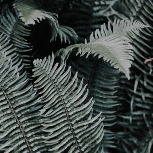 PLEASE READ - Picture 1 of 1